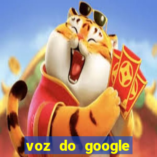 voz do google tradutor homem