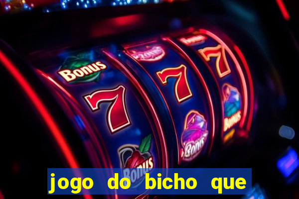 jogo do bicho que paga no pix