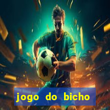 jogo do bicho banca ouro verde