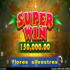 flores silvestres desbravadores desbravadores 25 flores silvestres e seus nomes