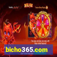 bicho365.com