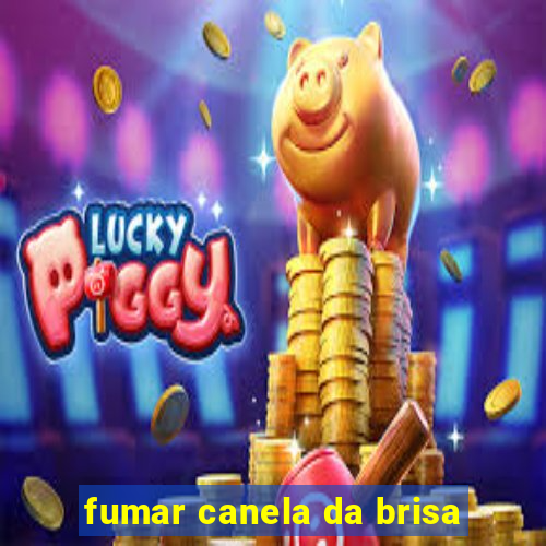 fumar canela da brisa