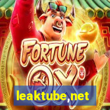 leaktube,net